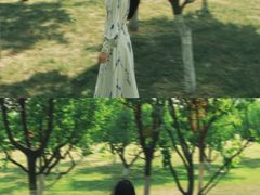 -汉长安城未央宫国家考古遗址公园