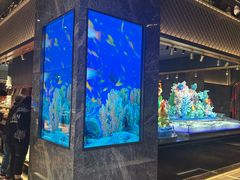 -萧邦音乐会所KTV·蒸汽活海鲜自助(福田店)