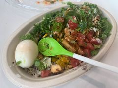 -油梨树AVOCADO TREE(望京店)