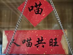 -白兔子密室(长寿路店)