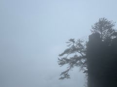 -恩施大峡谷