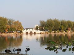 -长春市南湖公园