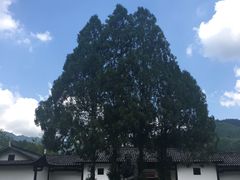 -毛泽东同志旧居