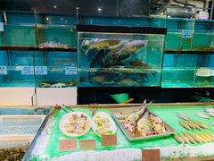 水产区-海江5号