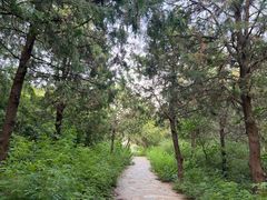 -北京西山国家森林公园