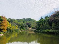 -云溪植物园