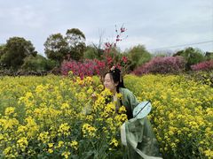 -南汇桃花村