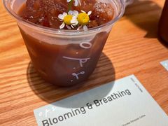 Blooming&nbsp;&&nbsp;Breathing-O.P.S. CAFE