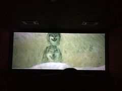 iphone_upload_pic-南宁时代电影大世界(CGS激光中国巨幕)