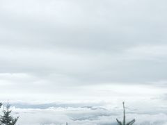 -富士山吉田線五合目