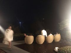 -天目湖涵田半山温泉