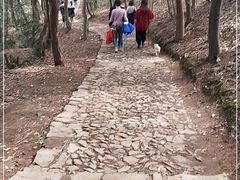 -雨花胜境