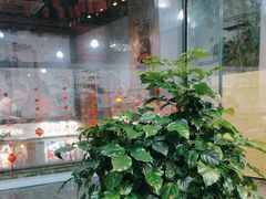 -齐齐哈尔烤肉·烧烤·烤鱼(万科时一区店)