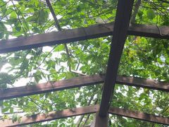 -金稼园·金平湖农家菜