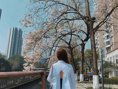 -成都市活水公园