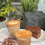 合肥新开的！ins风森系brunch店！！！