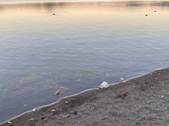 -丽江泸沽湖景区
