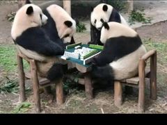-一淼推拿按摩连锁(乐松店)