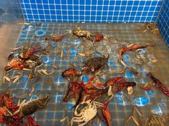 河蟹-乔哥铭洋海鲜自助(皇城恒隆广场店)