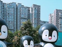 -成都浩海立方海洋公园