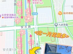 -海棠花溪(元大都城垣遗址公园)