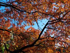 -石门坊