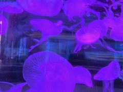 -横店影视城梦幻谷园区