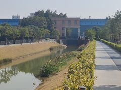 -长洲岛