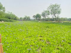 -汉长安城未央宫国家考古遗址公园