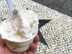 -柠檬车露(卖草地店)