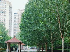 -丰台花园