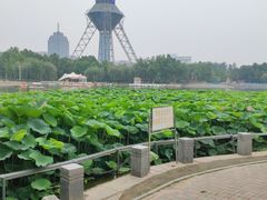 -裕华世纪公园