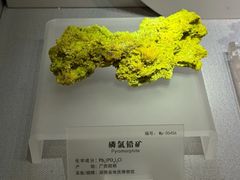 -湖南省地质博物馆