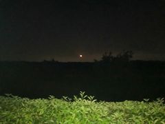 -云南巷海鲜大咖·可加工海鲜