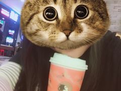 -茶理宜世(东方宝泰店)