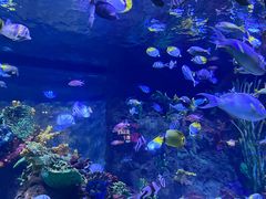 -台州海洋世界