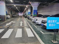 -万达广场(菏泽牡丹店)