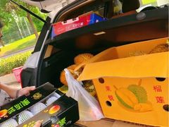 -西郊国际农产品交易中心