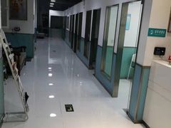 -欧奕国际动物医院