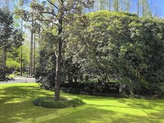 -棕榈岛海鲜自助餐厅(虹桥迎宾馆店)