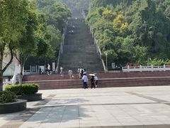 -铁山坪森林公园