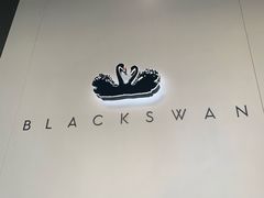 -BLACKSWAN黑天鹅(环球店)