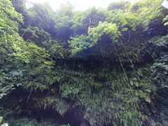 -海口火山口国家地质公园