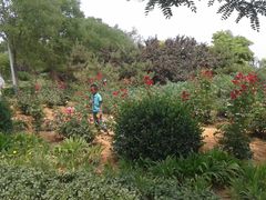 -荆轲塔