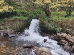 -广州市石门国家森林公园
