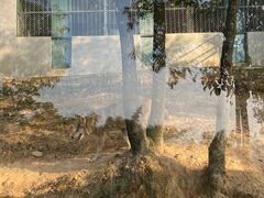 -泉州海丝野生动物世界