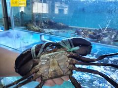 -钱塘府海鲜餐厅