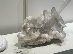-重庆自然博物馆(新馆)