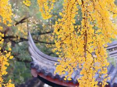 -花盐街·四川乐山小吃(西单大悦城店)