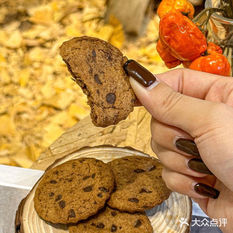 佛山探店🍂静静享受惬意的咖啡时光☕️